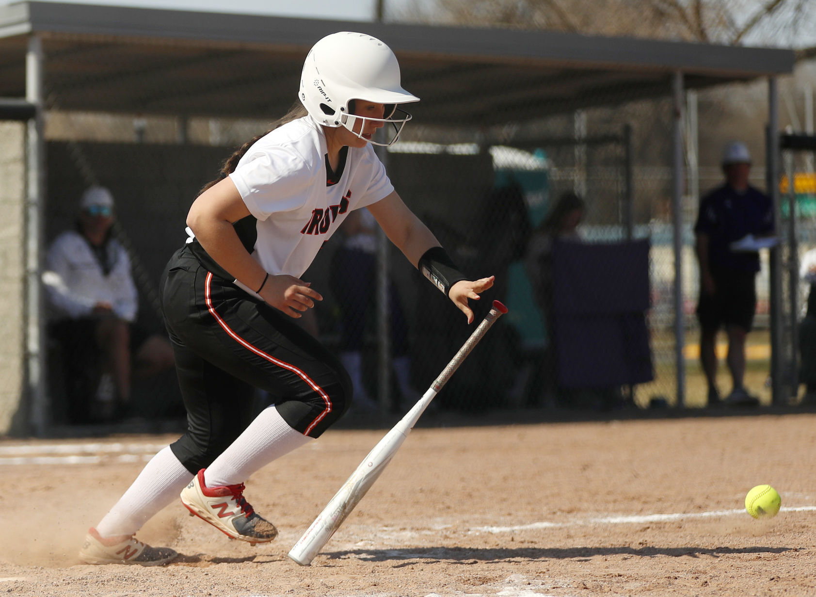 Billings Senior v Butte softball
